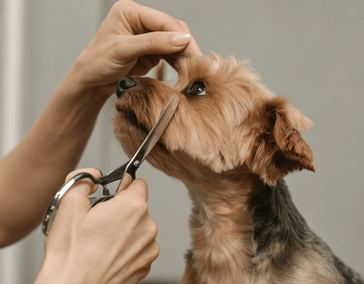 Название оказываемой услуги или специального предложения